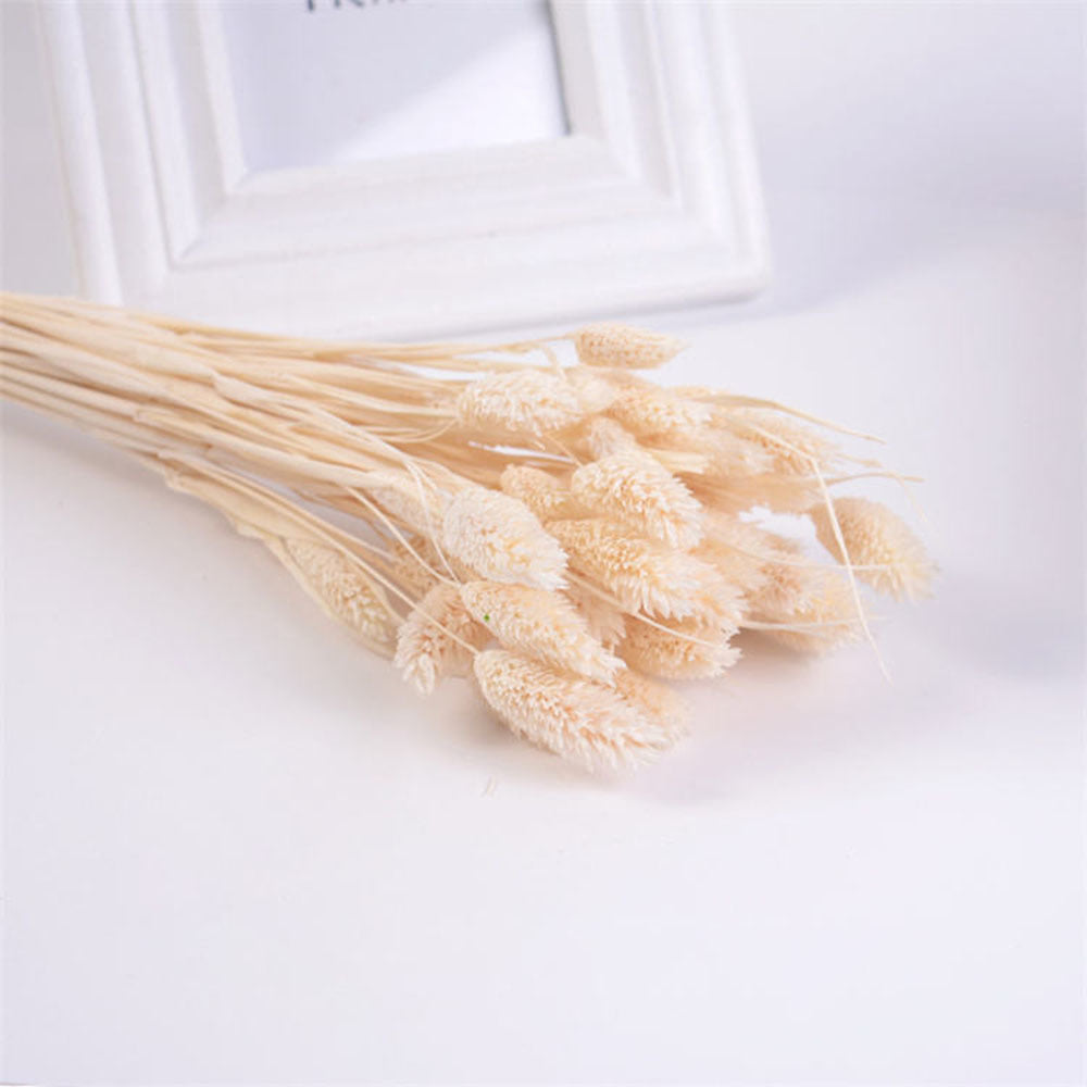 Dried Flowers Pampas Grass Mixed Bunny Rabbit Tail Lagurus Bouquet Wedding Christmas Decoration Natural Reed Flower Home Decora