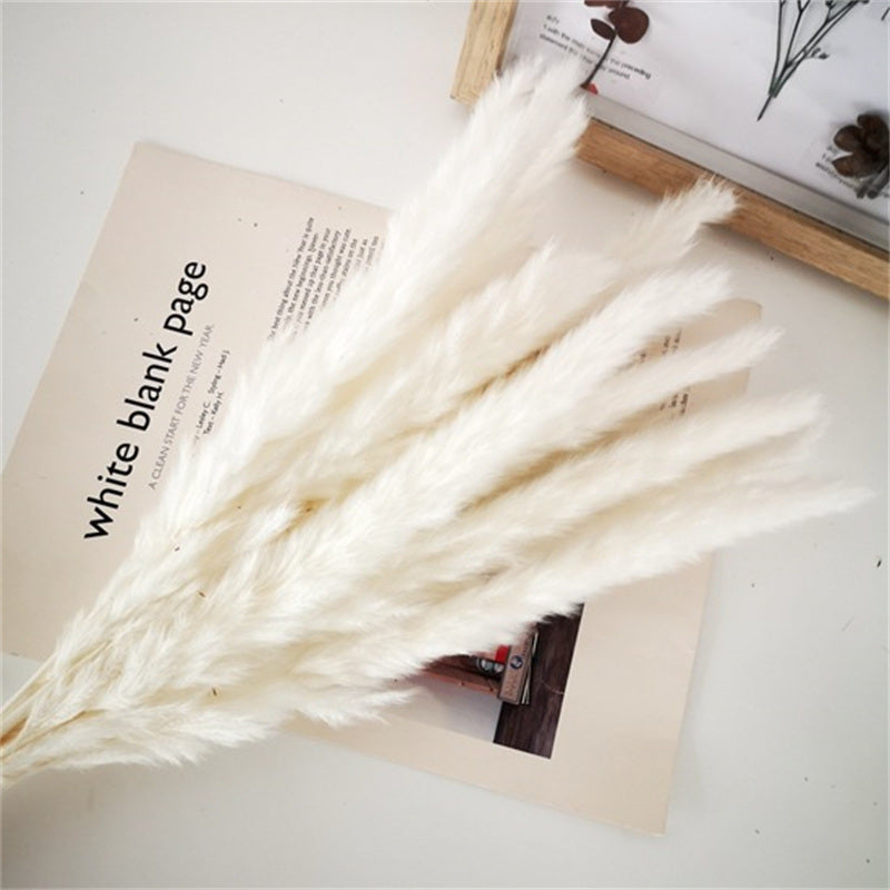 Dried Flowers Pampas Grass Mixed Bunny Rabbit Tail Lagurus Bouquet Wedding Christmas Decoration Natural Reed Flower Home Decora