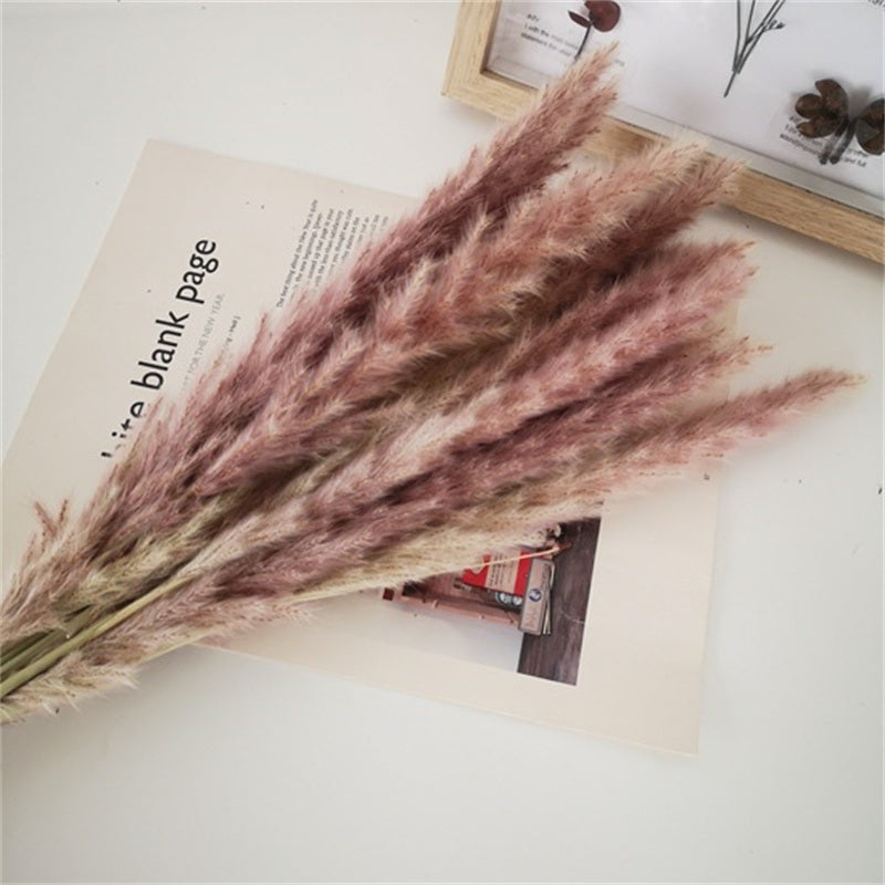 Dried Flowers Pampas Grass Mixed Bunny Rabbit Tail Lagurus Bouquet Wedding Christmas Decoration Natural Reed Flower Home Decora